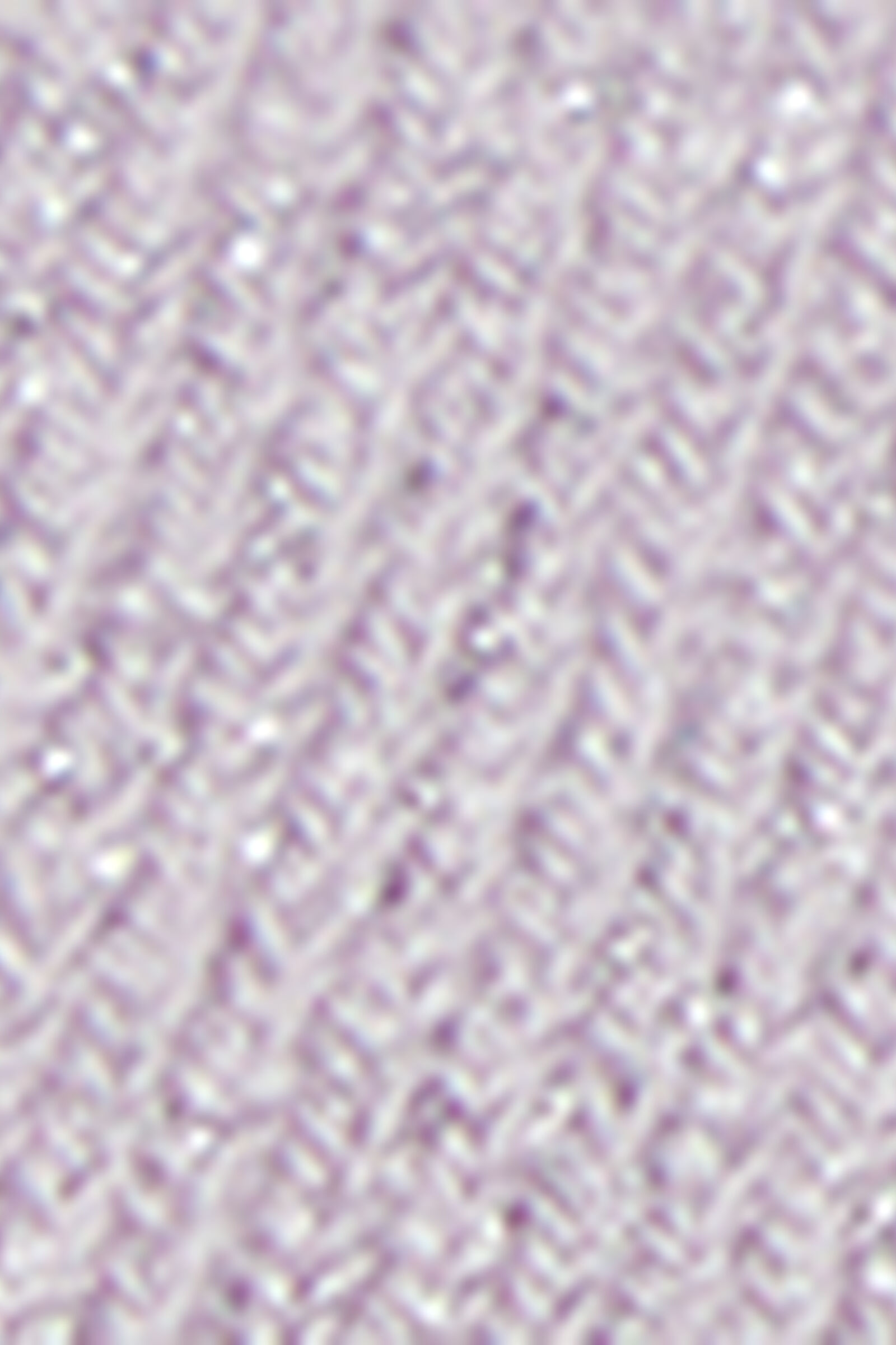 DC0339_643D_19-MEIAS-COM-GLITTER